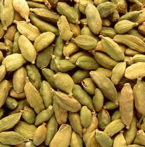 cardamono cardamono